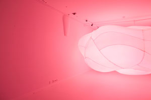 HiRes images of Breathing-Cloud_Dorette-Sturm_MH11