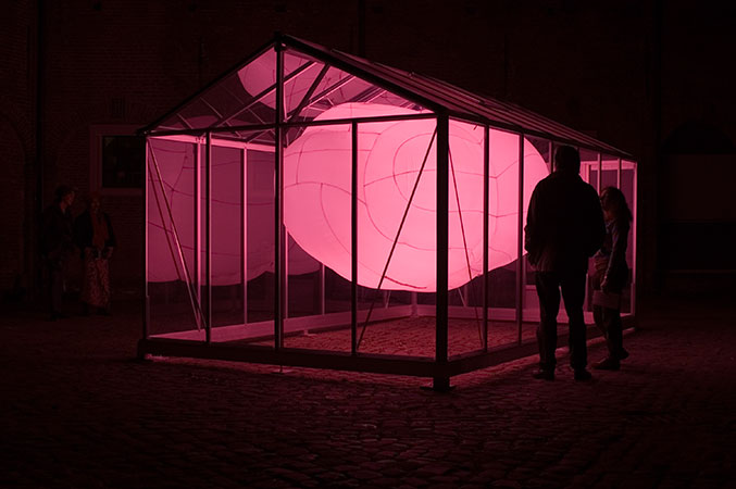 image of Pink Cloud at night